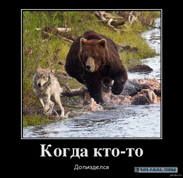 Вешайтесь, твари