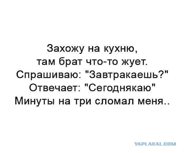 Подсмотрено на просторах