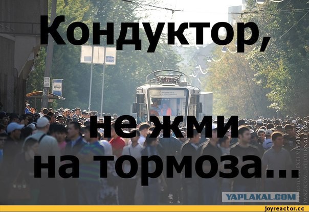 Будьте внимательны, пешеходы