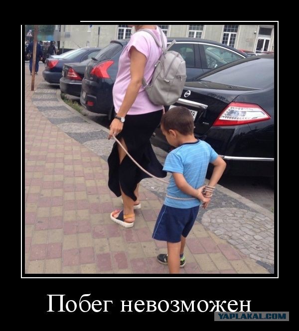 Баяны в чёрных рамках