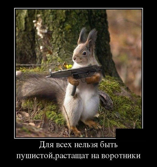 Картинки в черных рамках с подписями