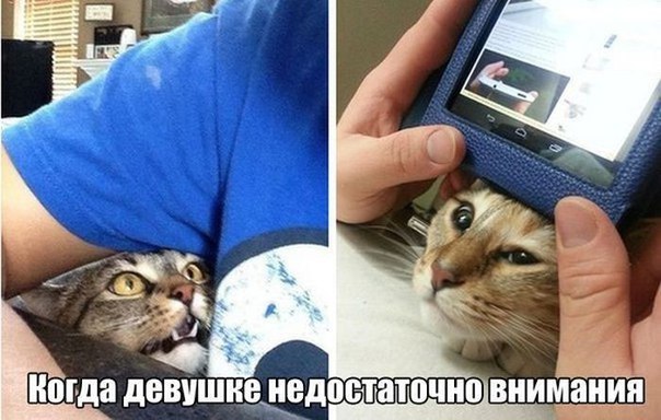 Очередная подборка школьной наркомании