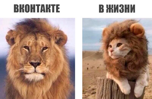 Картинки