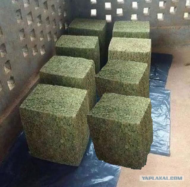 Картинки всякие разные