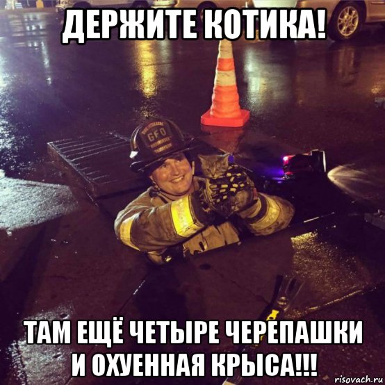 Подборка интересных и веселых картинок