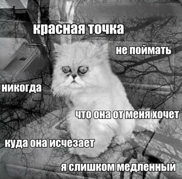 Немного средне-черного юмора