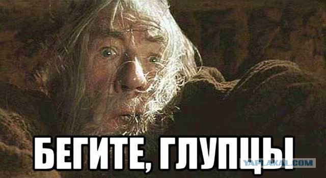Служба знакомств или "вперёд, к своему счастью!"