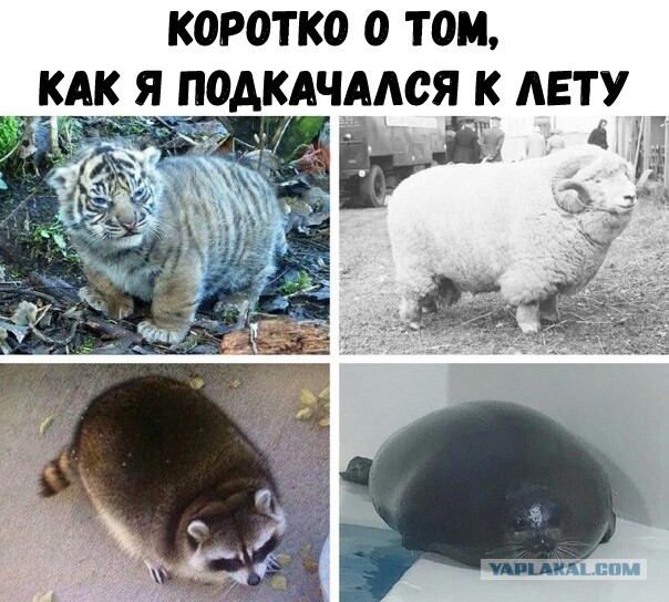 Кристиан Бэйл снова сильно похудел для новой роли в фильме «Форд против Феррари»