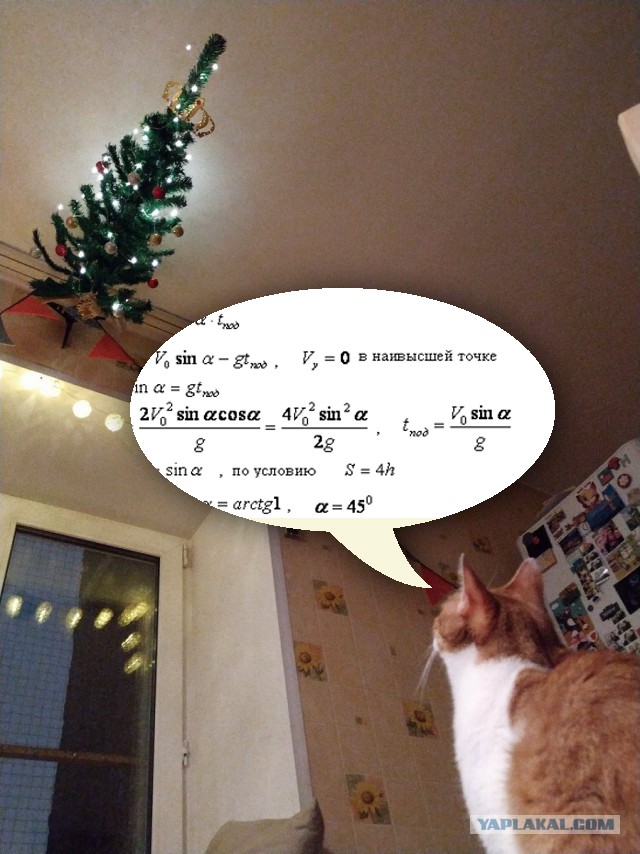 Ну ладно, двуногий ублюдок, тебе удалось немного отсрочить предначертанное