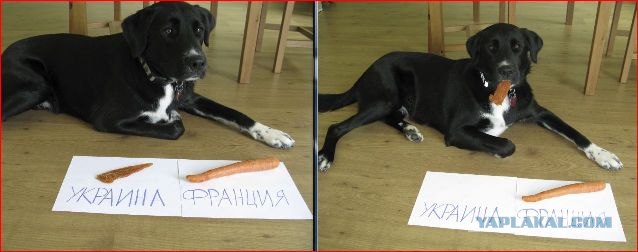 Чтобы уж наверняка