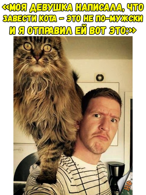 Прикольные картинки абавсём