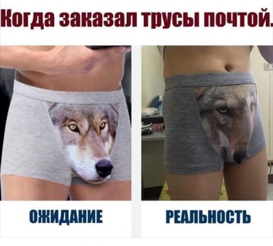 Немного юмора из этих ваших соцсетей