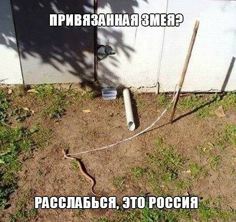 Подборка интересных и веселых картинок 14.05.19