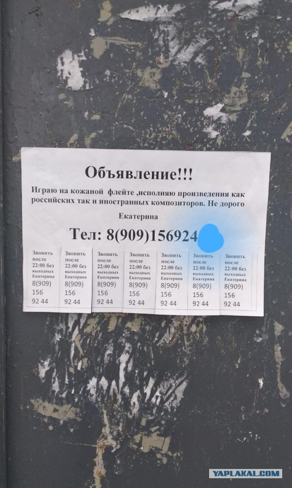 Бредзона
