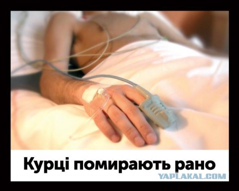 Австралийцы - курите "на здоровье