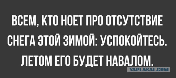 Климатолог рассказал, как аномальная зима отразится на погоде летом