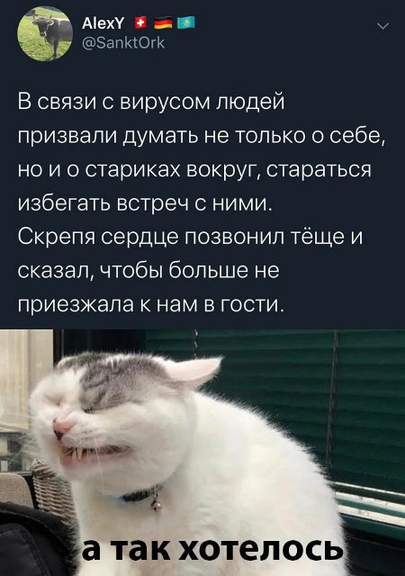 Бредзона 16.03.2020