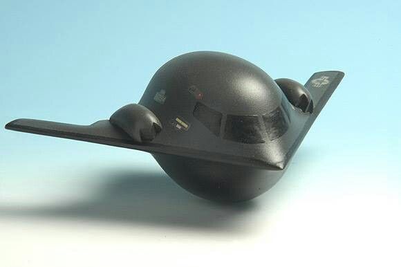 Красноярск атаковали полчища насекомых