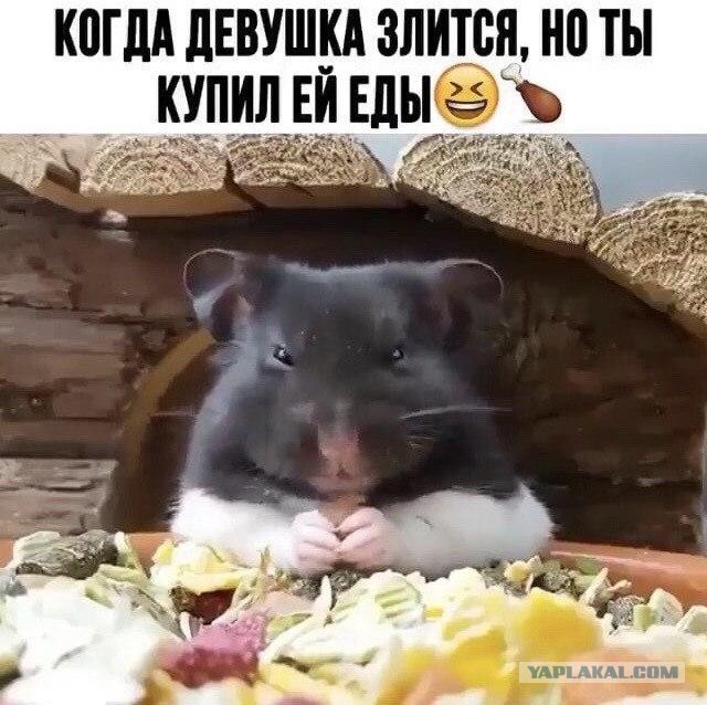 Фотки и картинки: юморные и красивые, забавные и милые 21.09.20