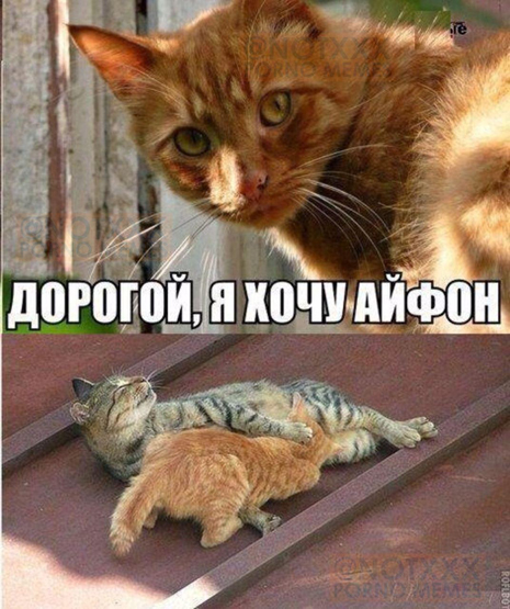 Юмор в картинках 11.11.2020.