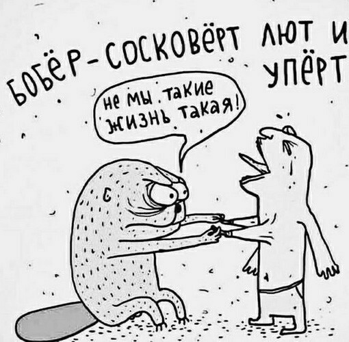 4 картинки