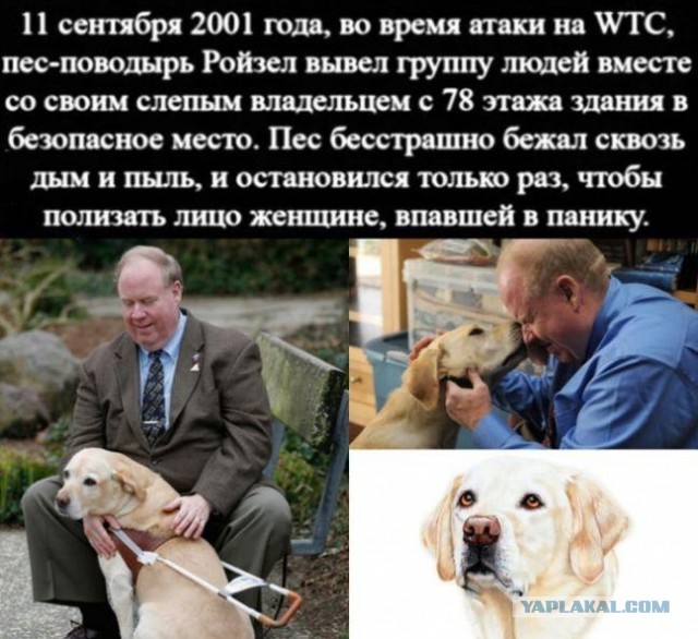 Картинки и мемы для настроения 010