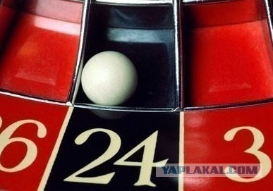 Непорядок. Попытка познакомиться с петербурженкой на борту самолёта закончилась двумя уголовными делами