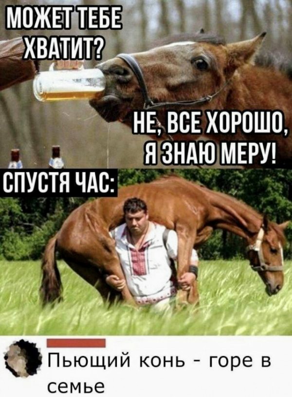 Картинки и мемы для настроения 02.06.2021