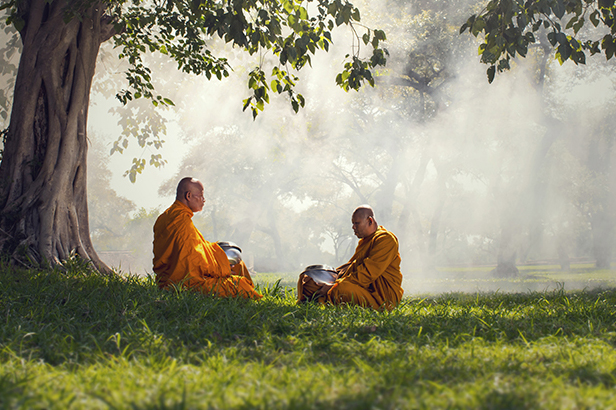 Упоротый Джа-дзен-пост