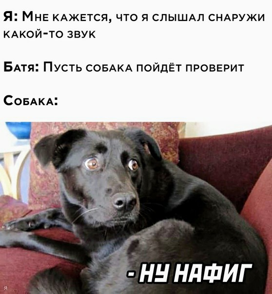 Картинки и мемы для настроения