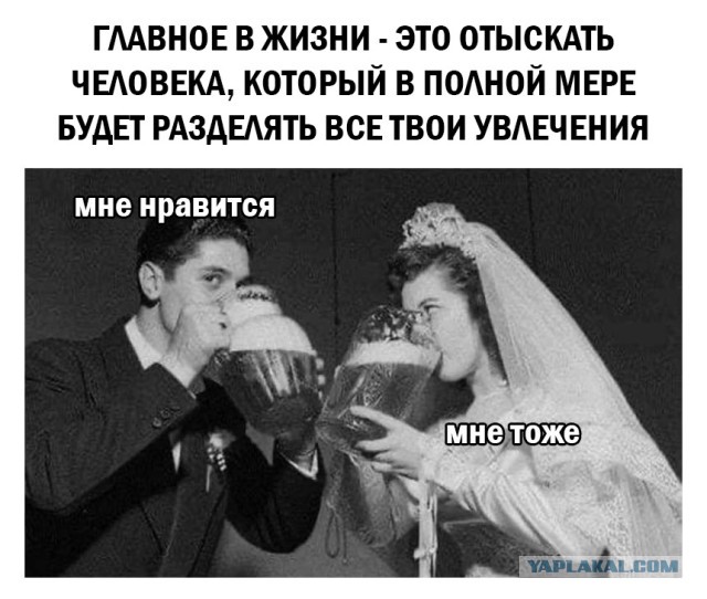 Алкопост 1.11.21