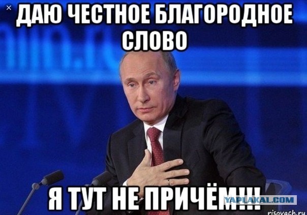 Володя ,что ты делаешь **ка а?