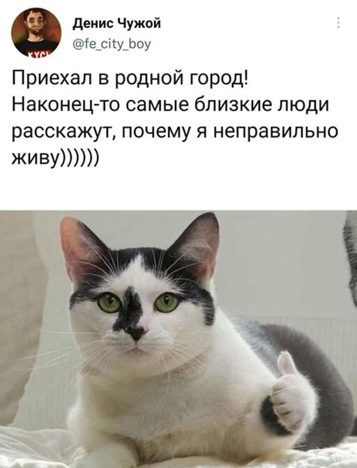 Баянисто-небаянистый юмор 8.01.22