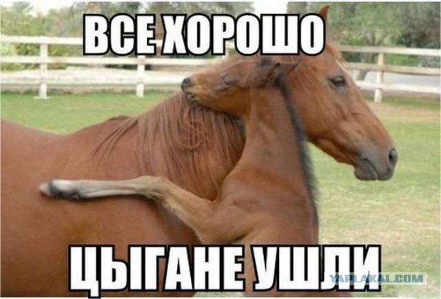 Где их искать? К кому обращаться?