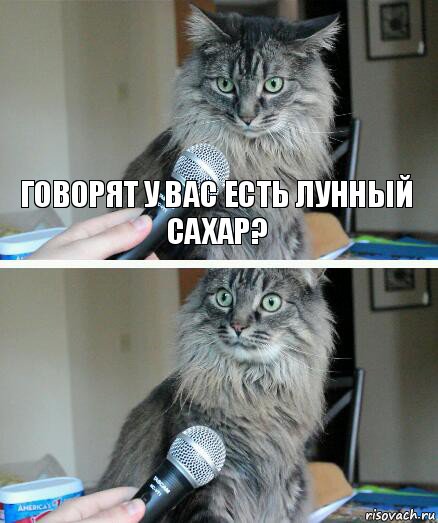 «Вот, почему на полках нету сахара!»