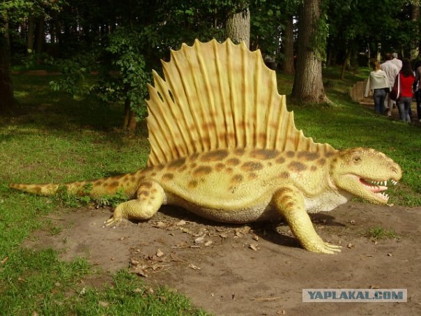 Поездка в парк динозавров (Польша)