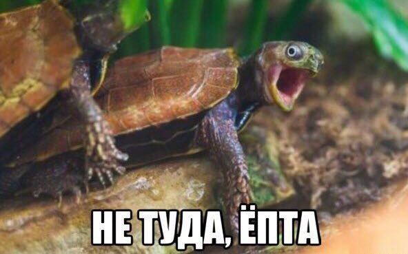 Я не самая лучшая представительница женского пола