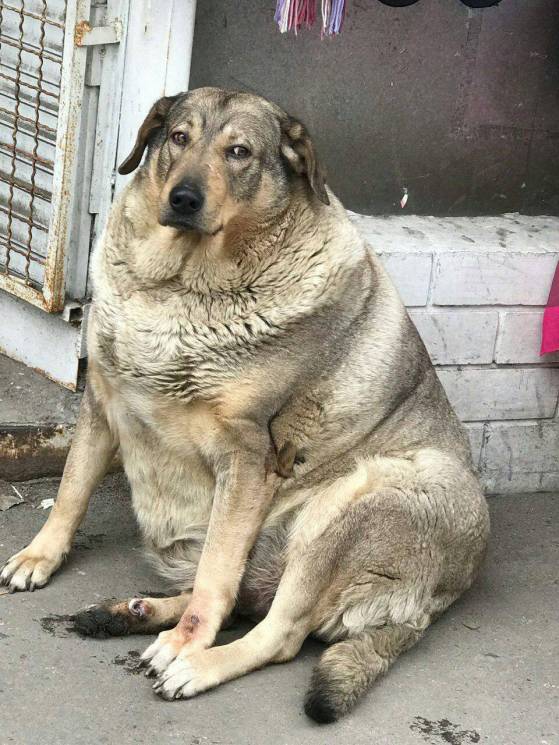 А говорил, в штабе, писарь