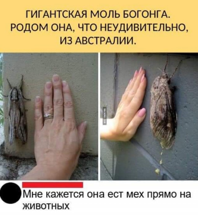 Картинки с надписями и всякие жизненные фразы