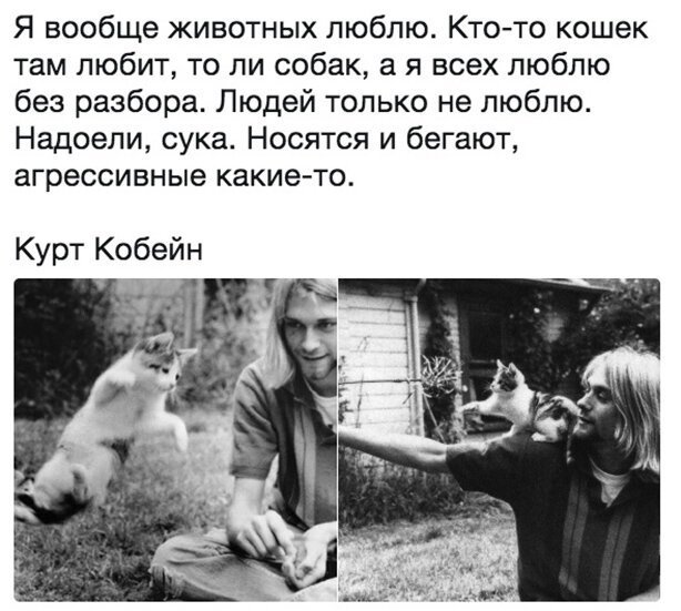 Немного картинок для настроения - 129