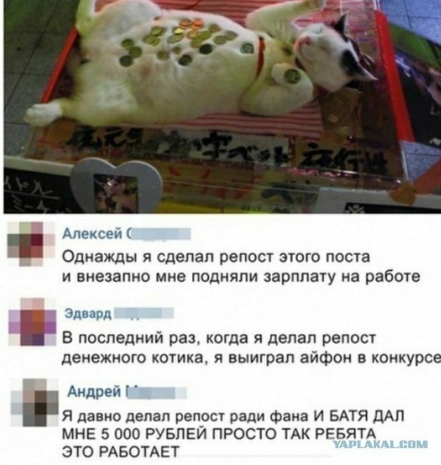 Извините. Деньги очень нужны