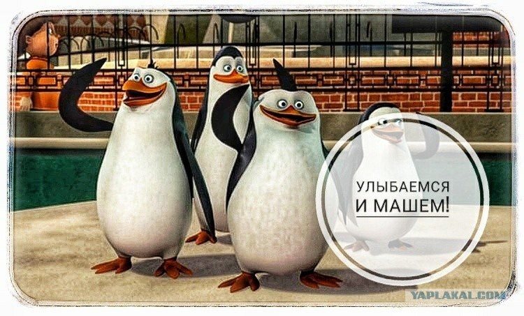 Улыбаемся и пашем картинки