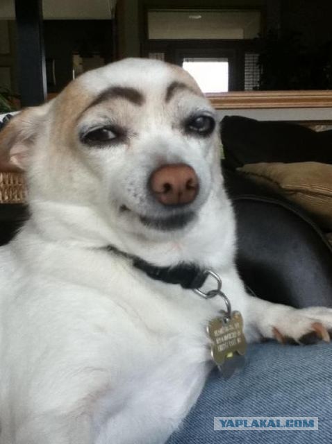 "Наревела" или как слезы увеличивают сиськи