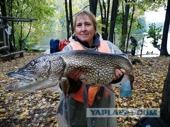 Самые большие речные рыбы в России