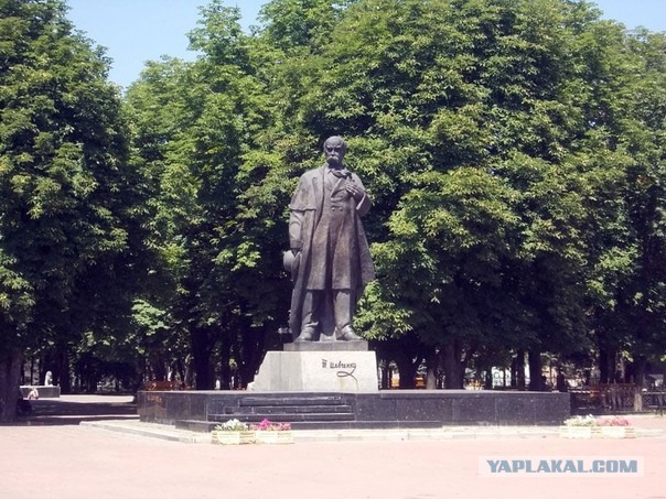 Ветерану пришлось извиняться
