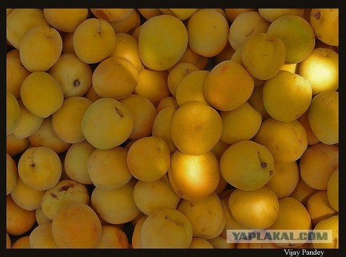 Армения Часть1