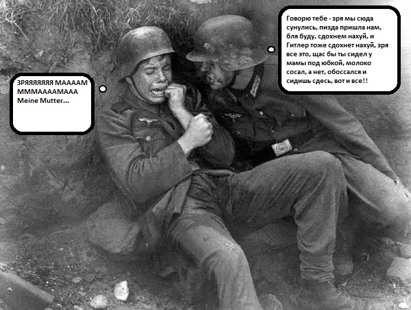 Кто воевал на стороне Гитлера