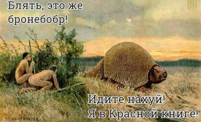 Всего понемногу. От 25.02.24