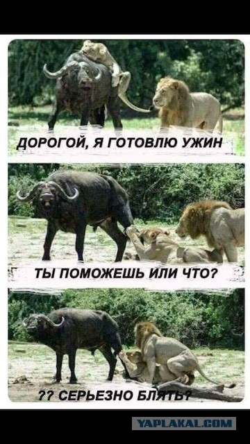 Завалялось тут случайно немного забавных картинок