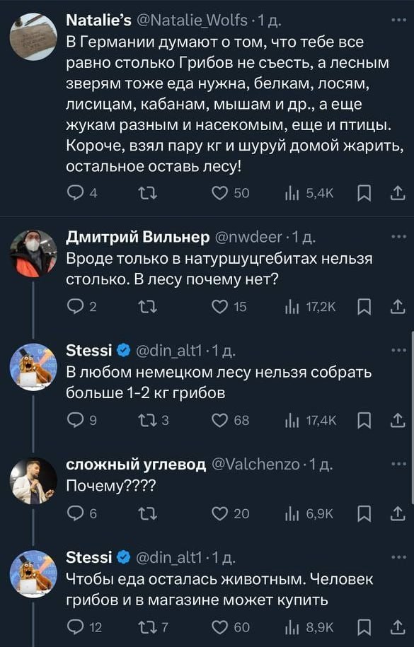 В соцсети X* распространилась фотосессия с богатым урожаем грибов, вызвавшая неоднозначную реакцию пользователей.